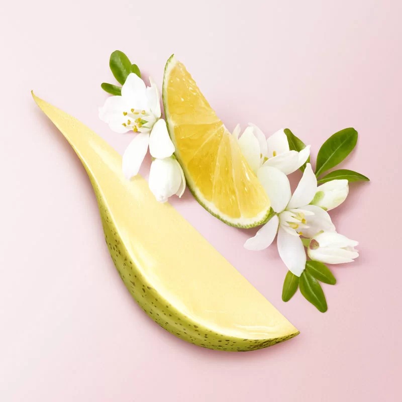 mi camino edp nectar